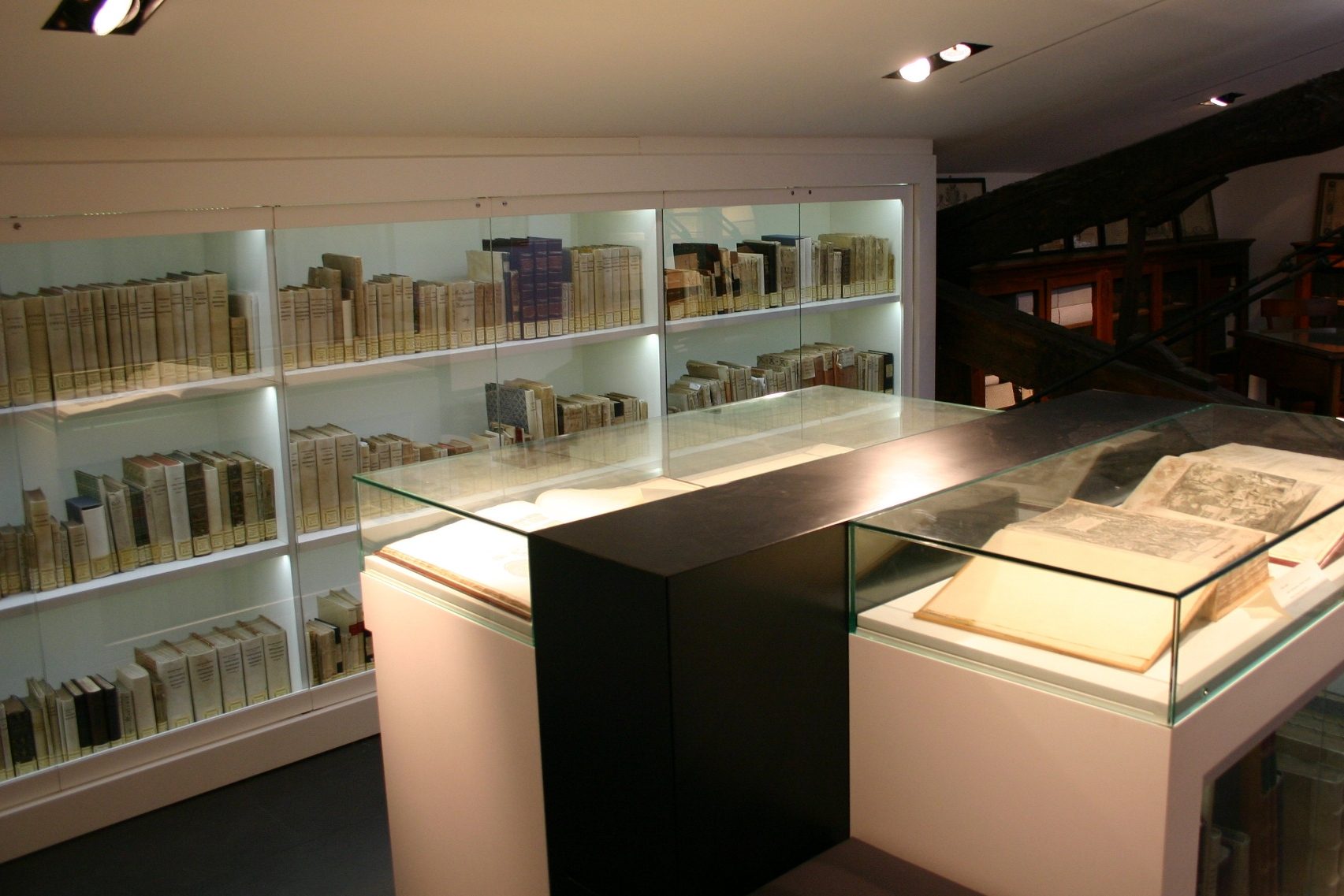 Sala 'Paolo Mascagni', Accademia dei Fisiocritici, Siena, Italy - 10.JPG
